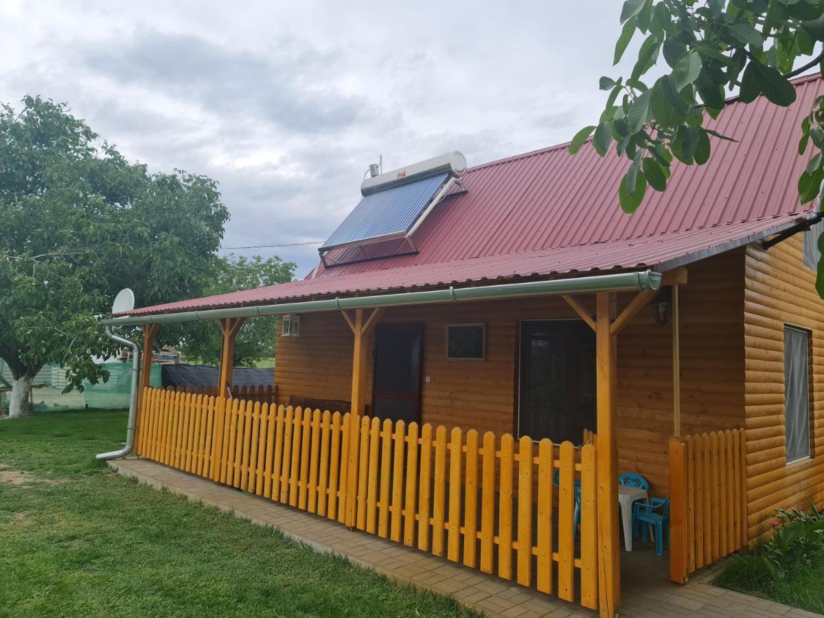 Apartament Hobby Vendeghaz Kiskunmajsa Zewnętrze zdjęcie